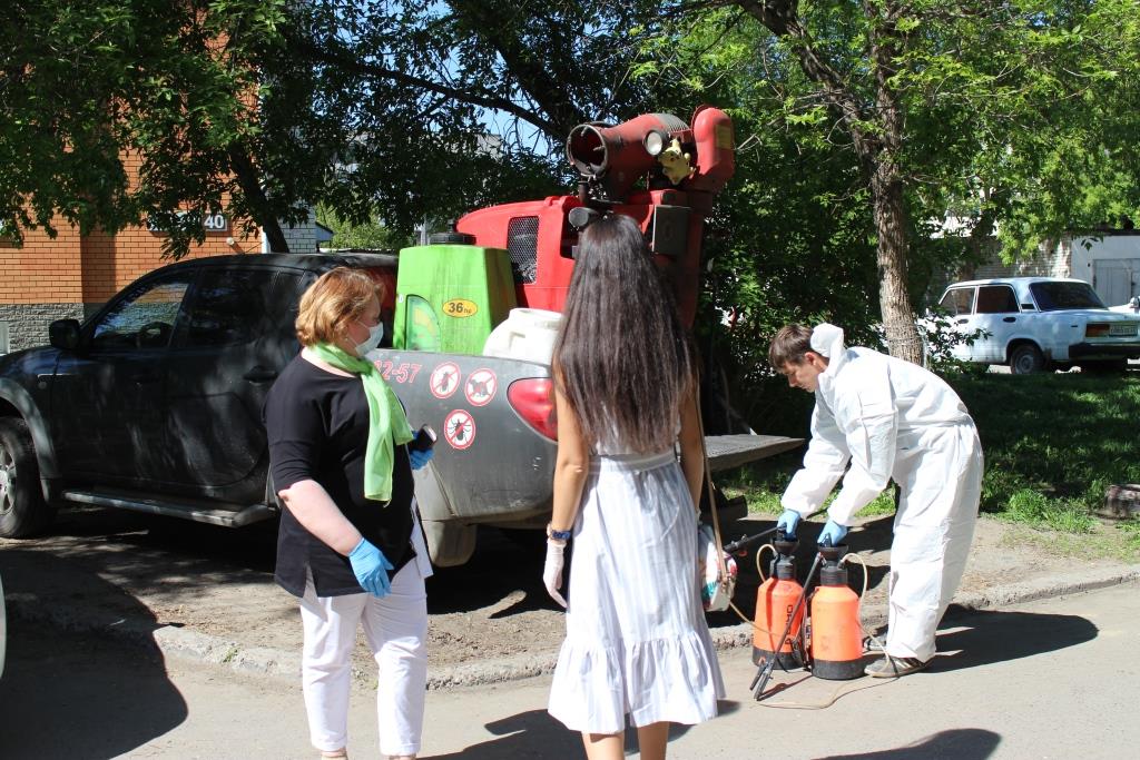 В Центральном районе Барнаула общественники контролируют обработку и уборку подъездов в домах