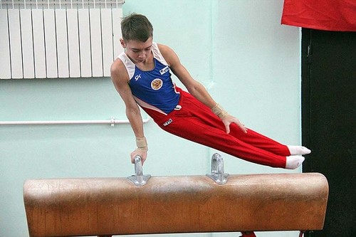 В Барнауле пройдет традиционный гимнастический турнир на призы Сергея Хорохордина