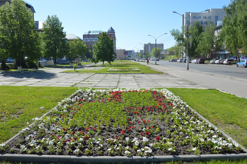 Цветы барнаул фото