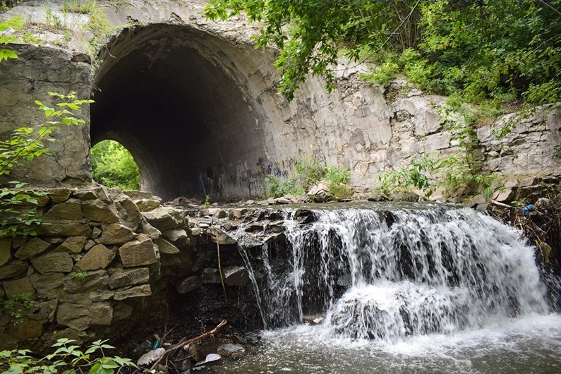 Барнаульцев приглашают поучаствовать в экологическом флешмобе «Чистая Пивоварка»