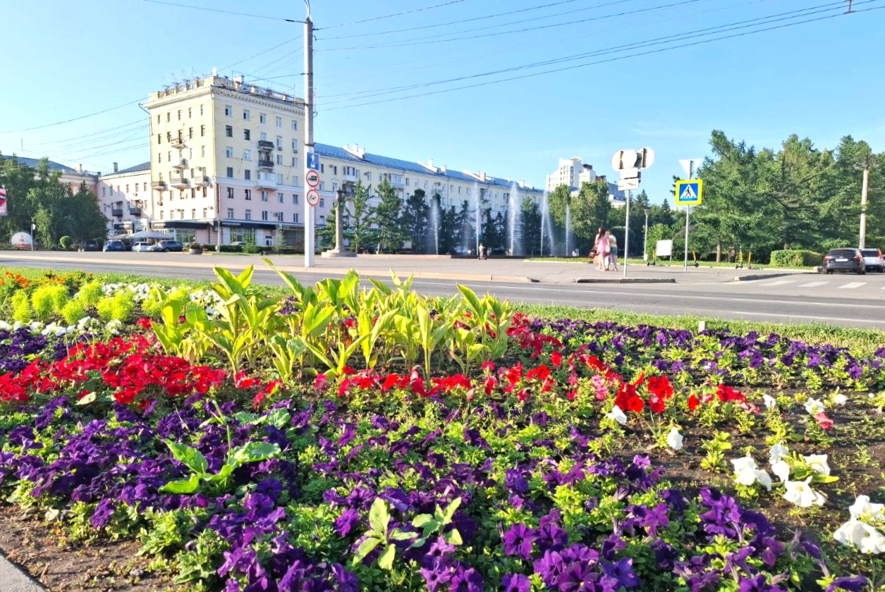 В Барнауле завершили оформлять городские клумбы цветами  