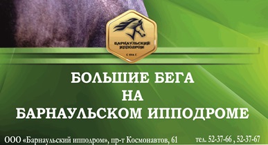 Всероссийский фестиваль орловского рысака «Сибирь-2022» состоится 10 июля на Барнаульском ипподроме 