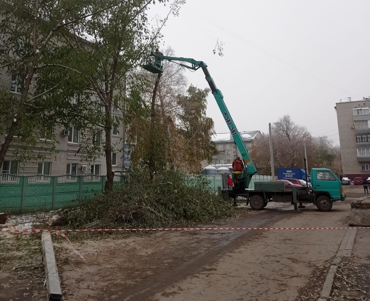 В рамках месячника санитарной очистки на территории Железнодорожного района проведены работы по обрезке деревьев