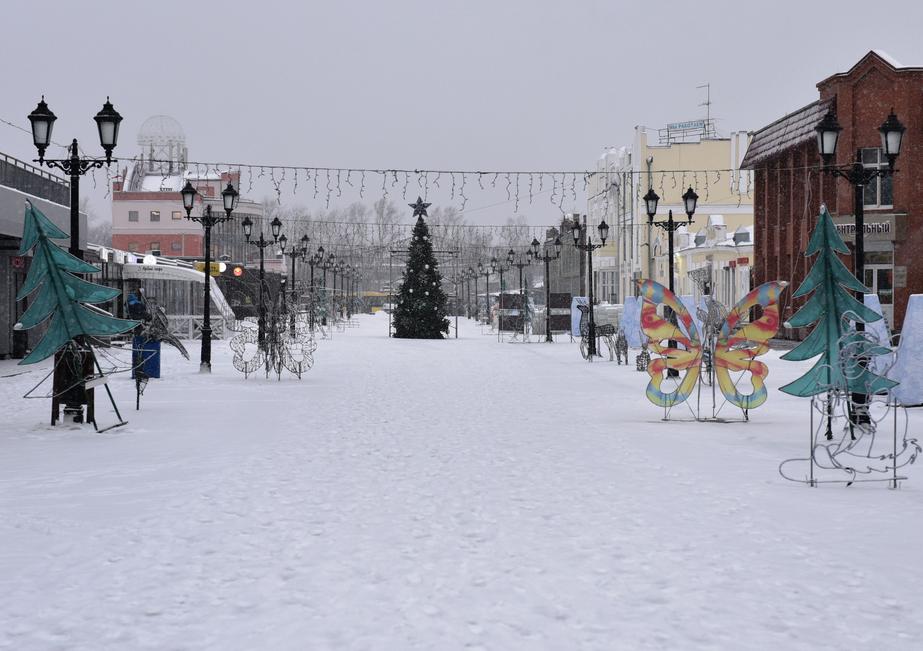 В Барнауле продолжают обустройство новогодней площадки на пешеходной улице Мало-Тобольской