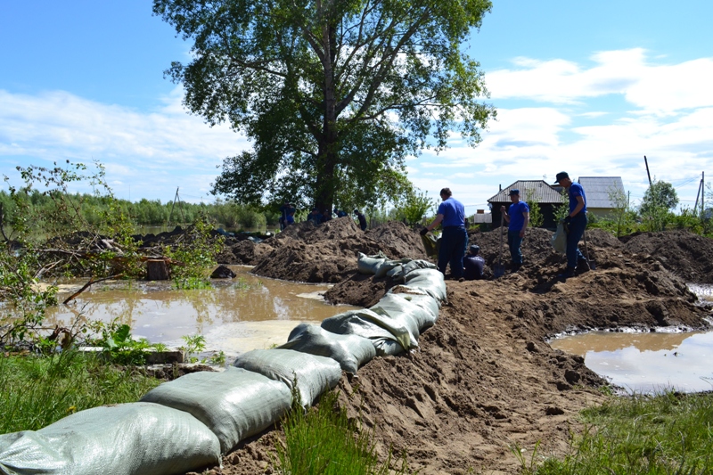 Вода в оби поднимается