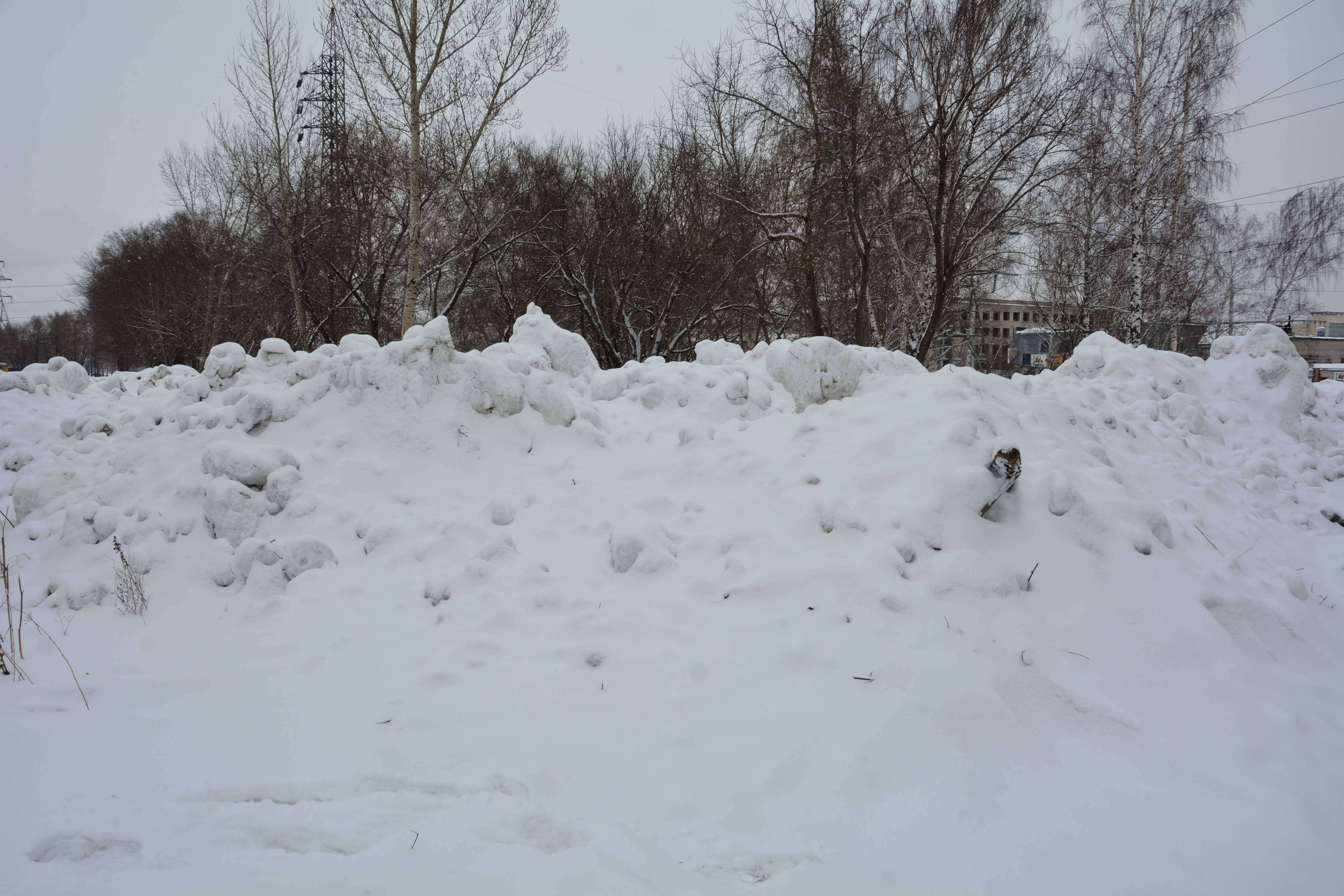 Снежки сонник