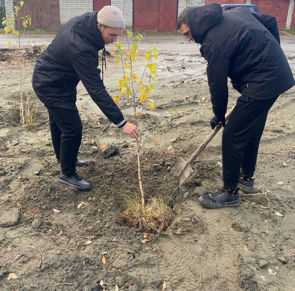В рамках месячника осенней саночистки в Железнодорожном районе Барнаула высадили молодые деревья 