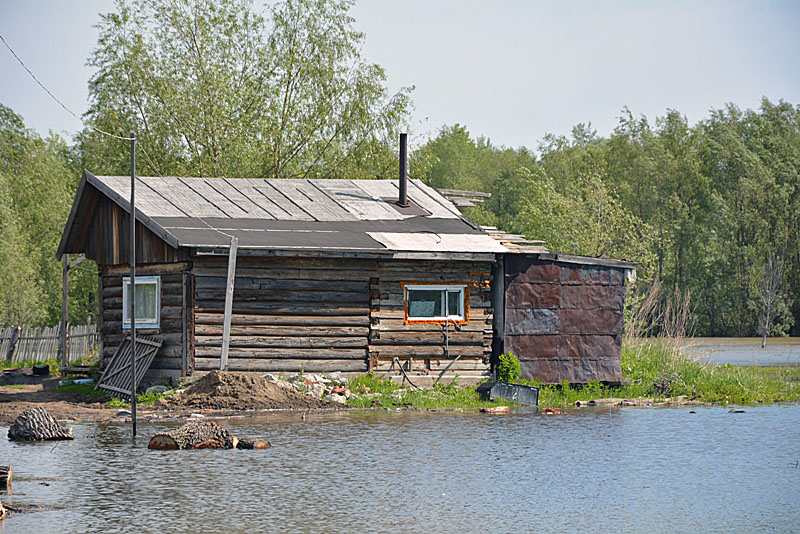 Затон северный. Затон Алтайский край. Поселок Затон Барнаул.