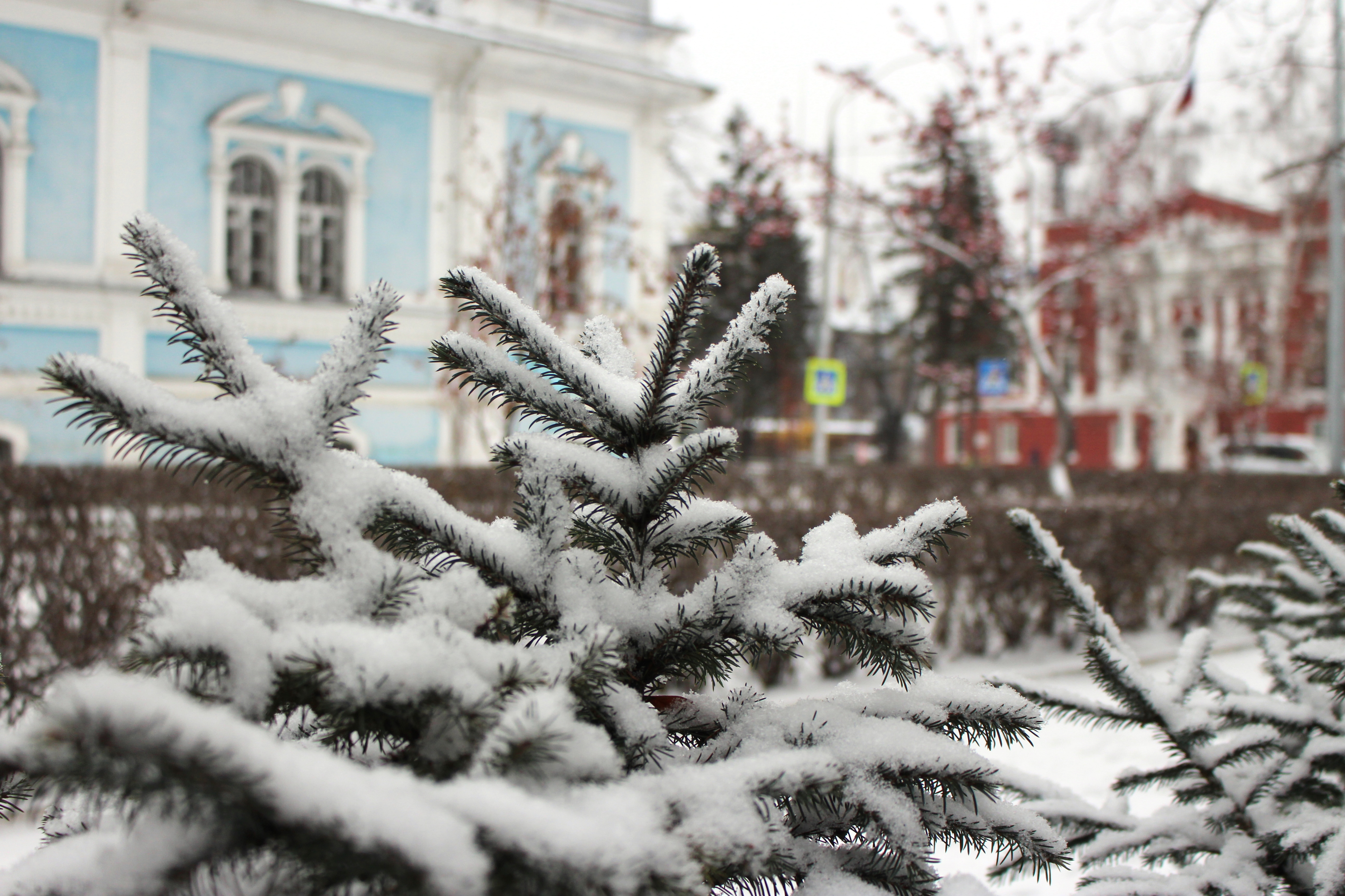 В новогоднюю ночь в Барнауле ожидается теплая и снежная погода
