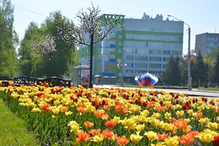 В Ленинском районе Барнаула утвердили план благоустройства на 2021 год