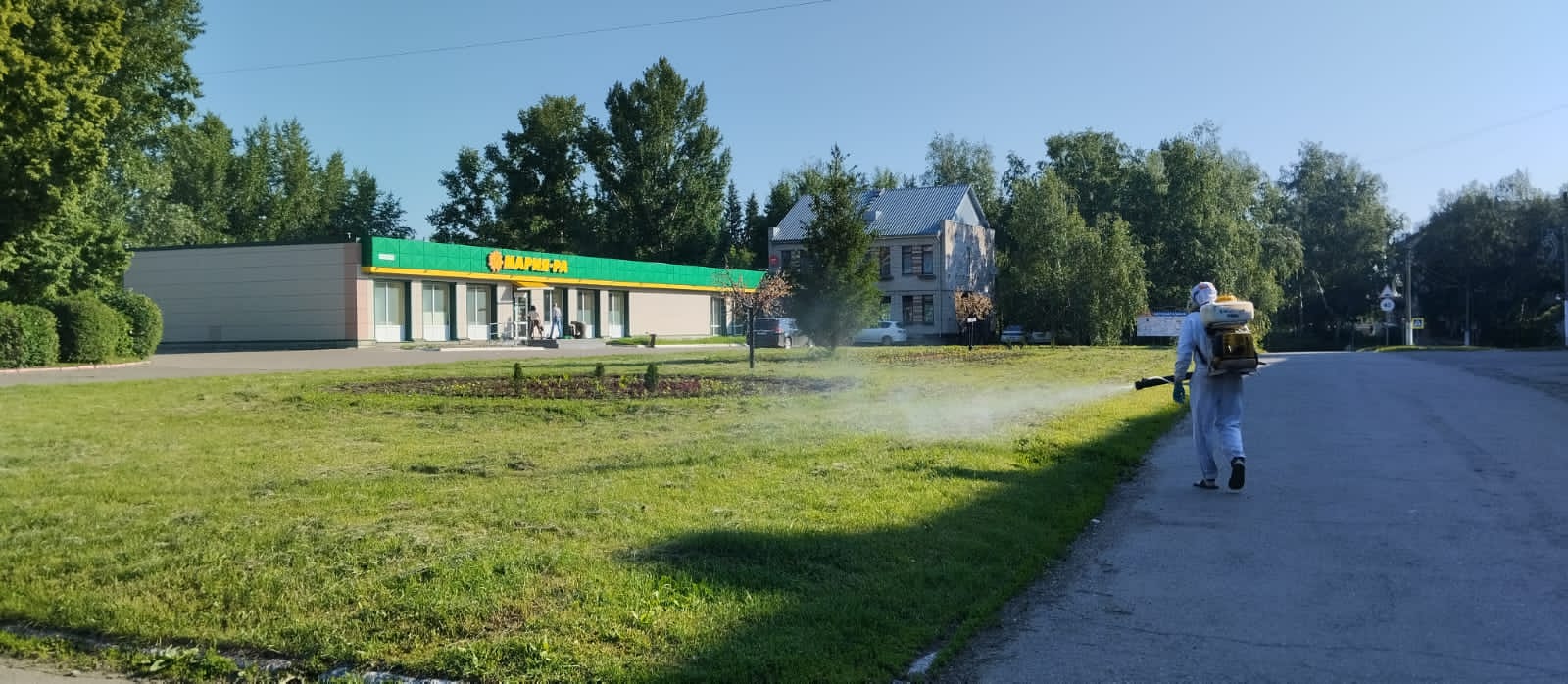 На городской и пригородной территориях Ленинского района пройдет обработка от комаров