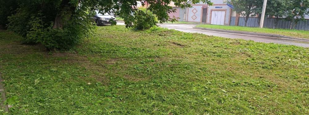 В Железнодорожном районе проводят сезонные работы по покосу травы