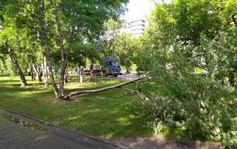 В Барнауле устраняют последствия ураганного ветра