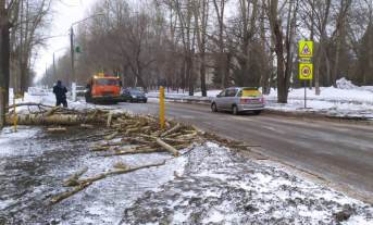 На ул.Георгия Исакова порывом ветра сломало дерево 