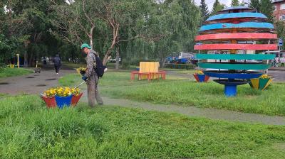 Покос травы проводится на территории Индустриального района