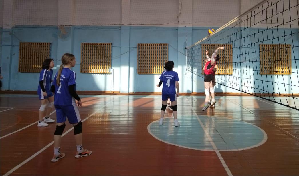 В Центральном районе Барнаула прошел турнир по волейболу 