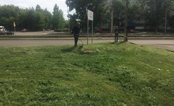 Покос травы находится на особом контроле властей