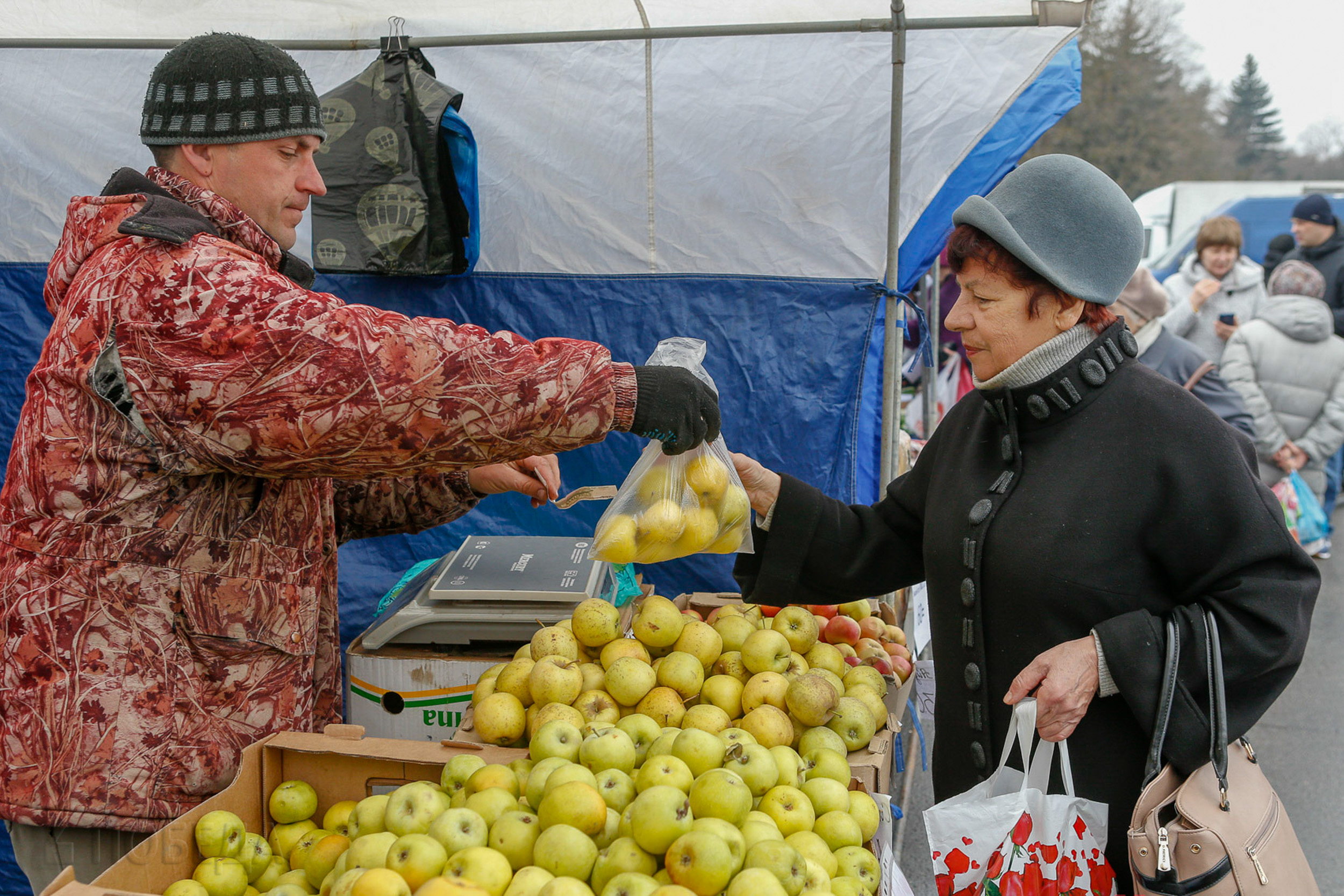 В пригороде Барнаула на минувших выходных традиционно прошли продовольственные ярмарки