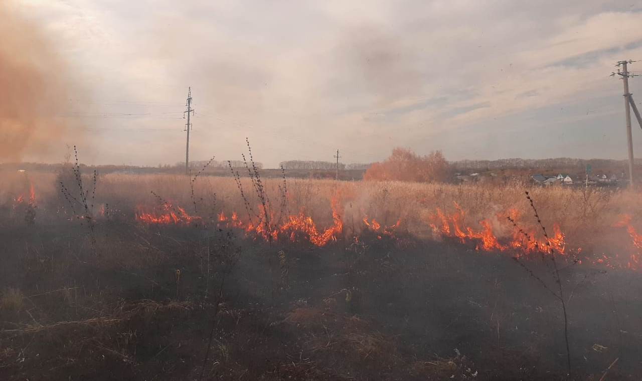 В пригороде Ленинского района провели контролируемый отжиг сухой растительности