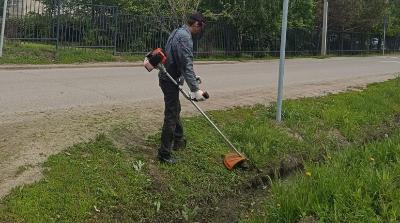 На пригородной территории продолжается покос травы