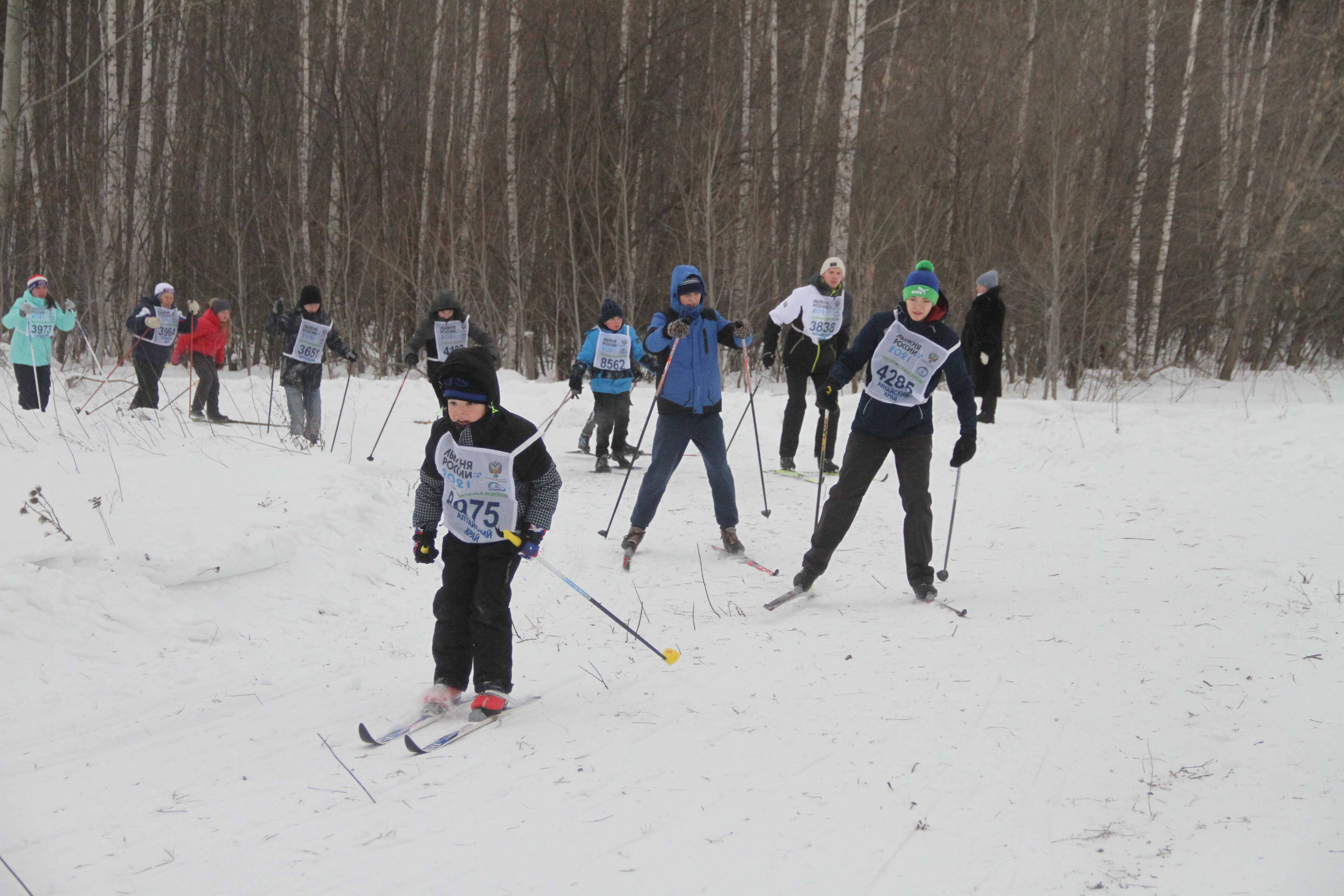 Федерация лыжных гонок Алтайского края выиграла президентский грант