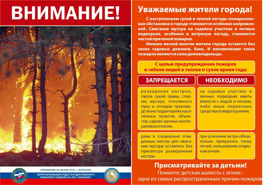 Лесные пожары: меры предосторожности, правила поведения, административная ответственность