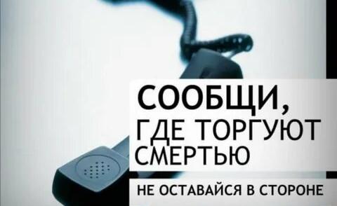 Второй этап антинаркотической акции «Сообщи, где торгуют смертью!» стартовал в Алтайском крае 