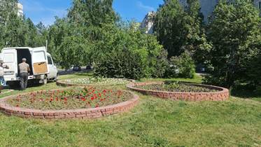 На территории Ленинского района продолжается высадка цветочной рассады