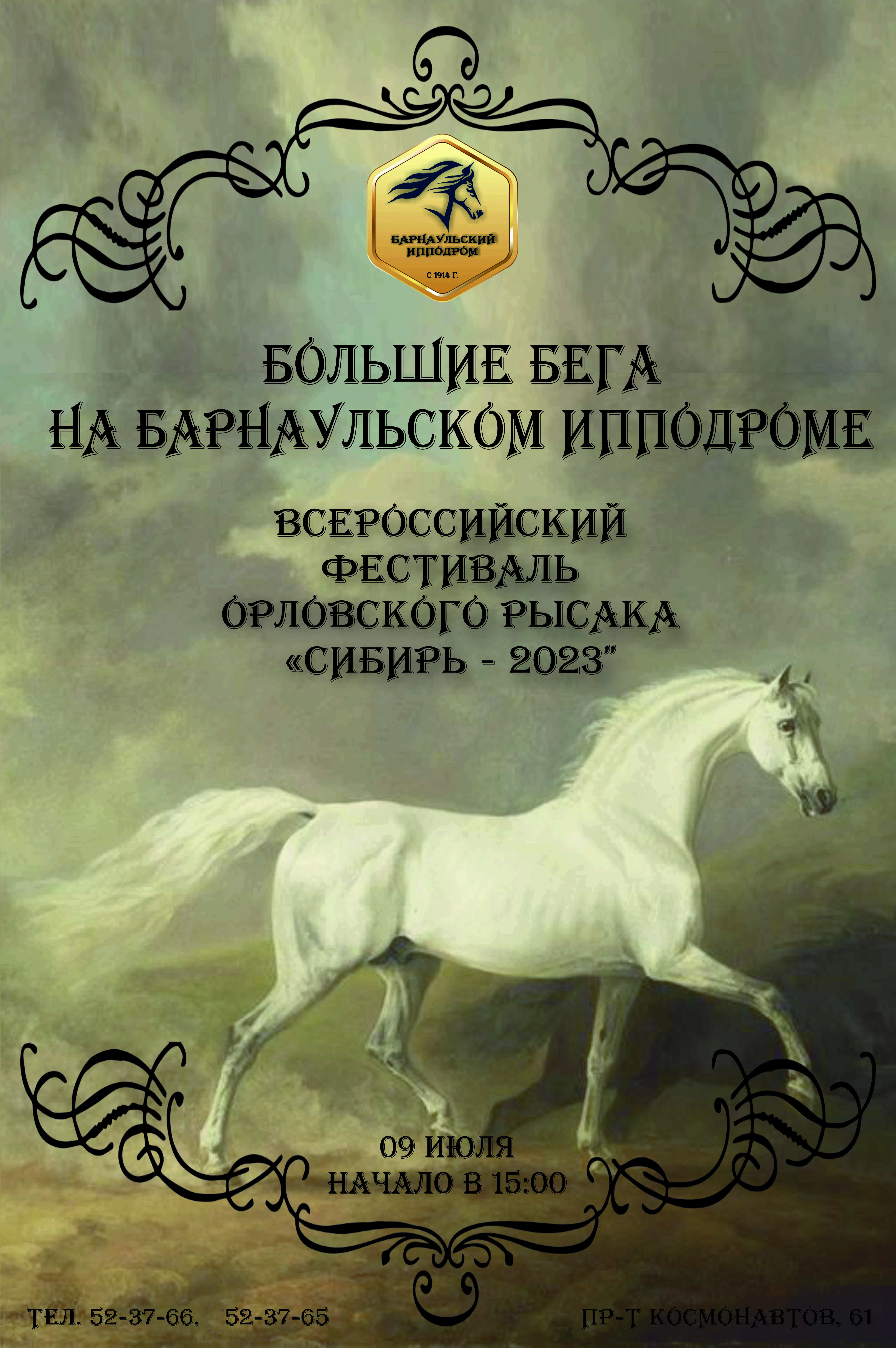 На Барнаульском ипподроме состоится Всероссийский фестиваль орловского рысака «Сибирь-2023»
