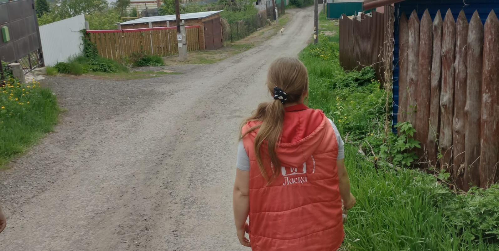 Бездомные собаки в городе проект