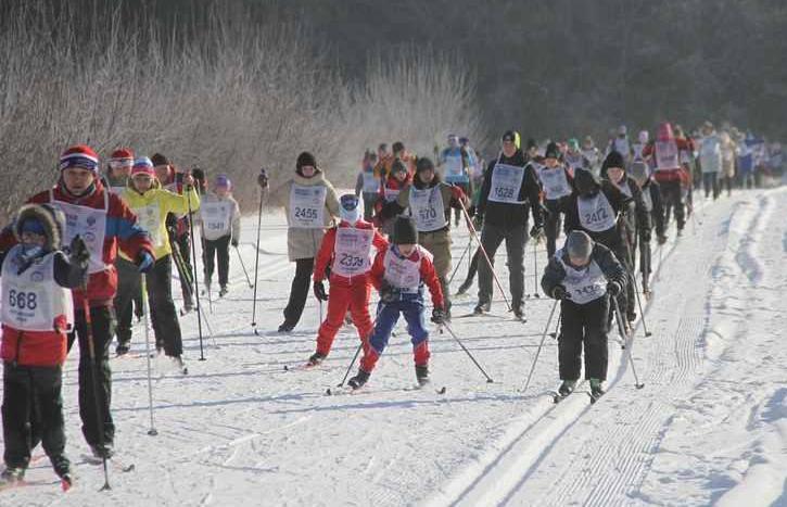 Больше трех тысяч барнаульцев приняли участие в массовой гонке «Лыжня России-2023»