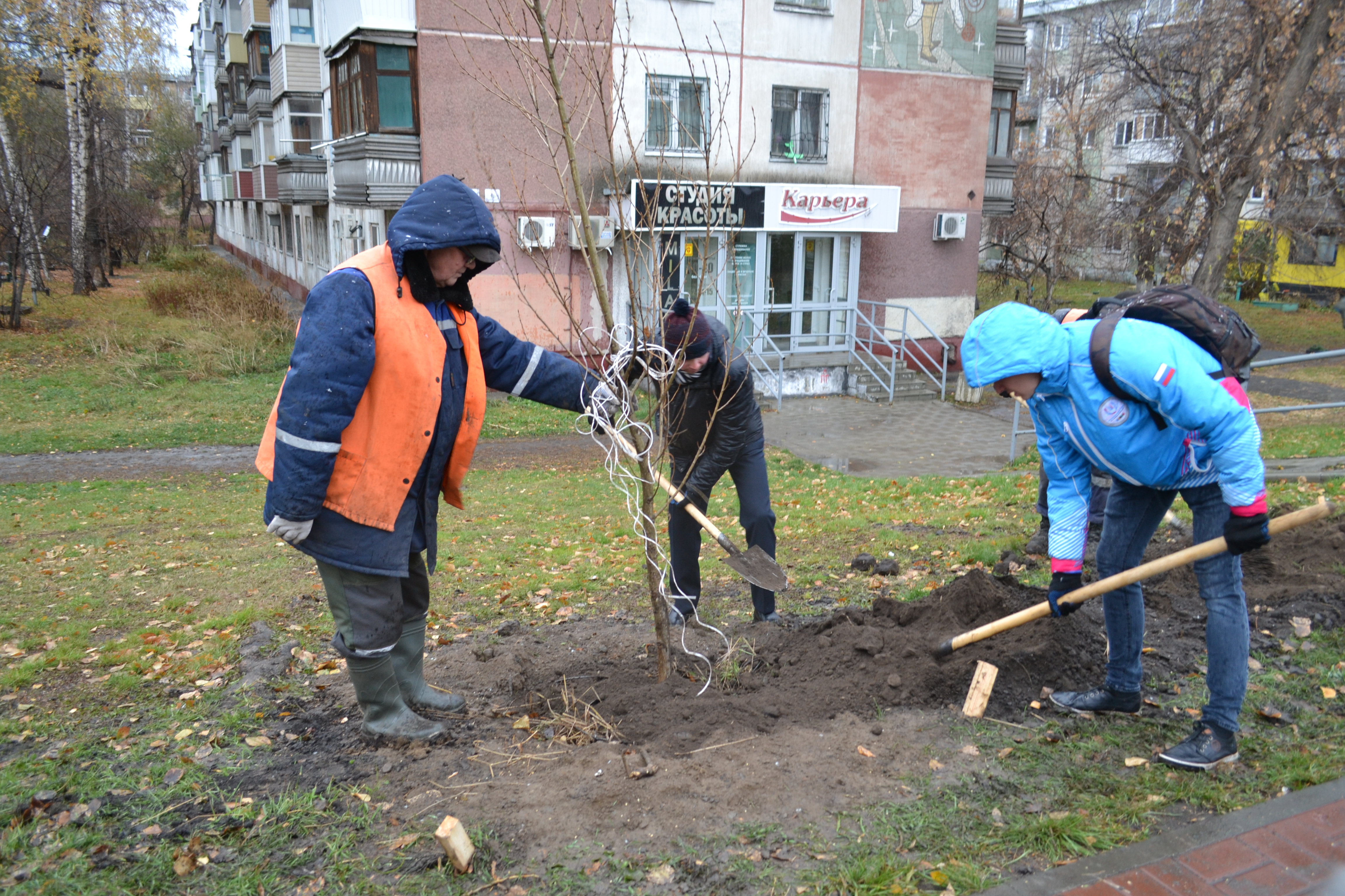 МУП «Горзеленхоз» и волонтеры высадили деревья в центре Барнаула