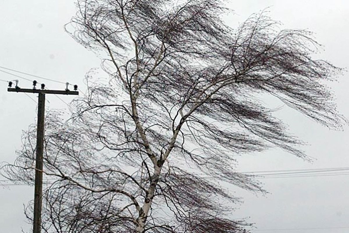 Алтайские синоптики продлили штормовое предупреждение, связанное с усилением ветра