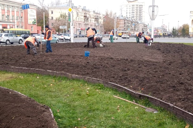 В Барнауле завершается посадка тюльпанов, которые расцветут следующей весной  