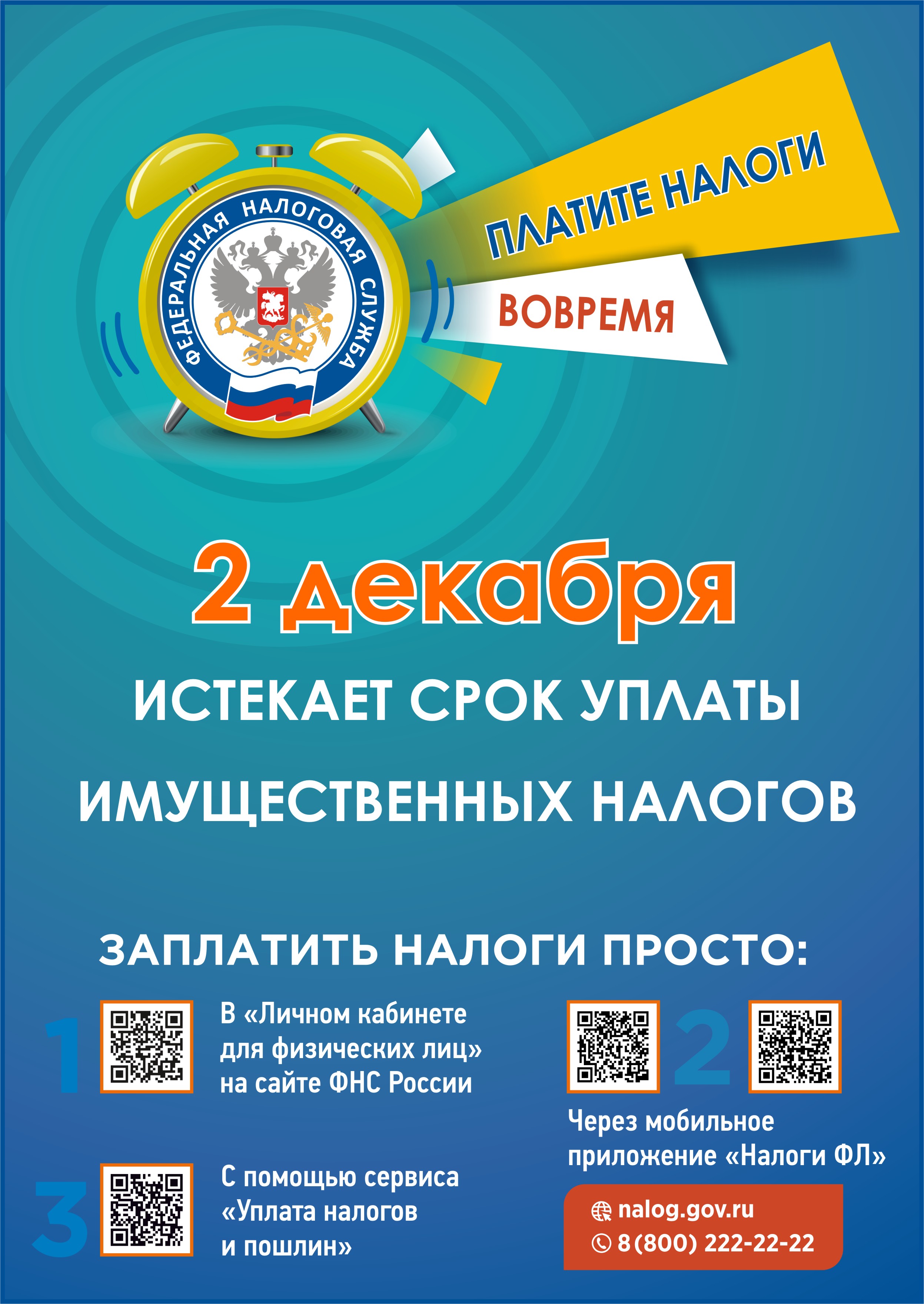 Барнаульцам напоминают: 2 декабря 2024 года наступает срок уплаты имущественных налогов