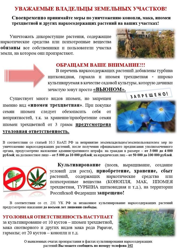 Новый точечный рисунок (2).jpg