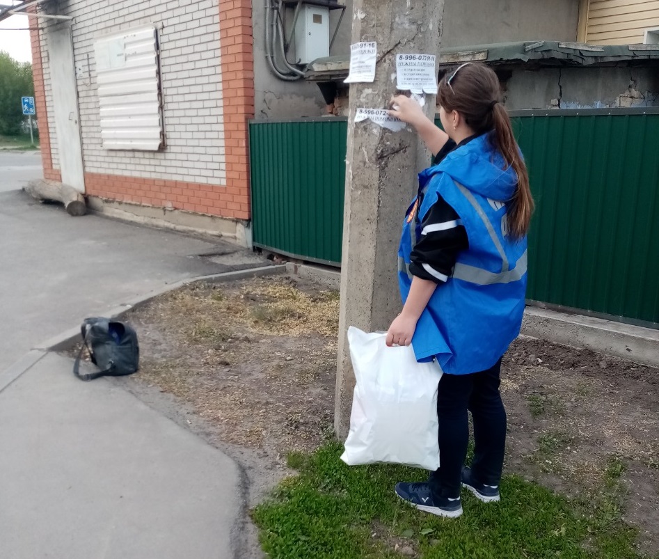 порп.jpg