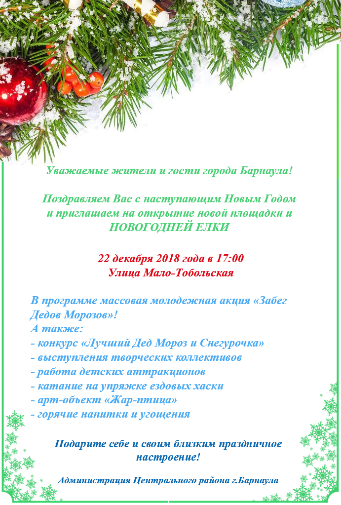 Открытие елки на Мало-Тобольской.jpg