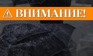 Коммунальные службы устраняют последствия штормового ветра в Барнауле