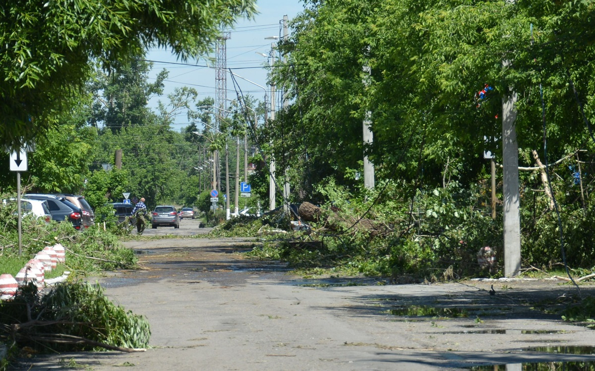 Алтайский край поселок южный