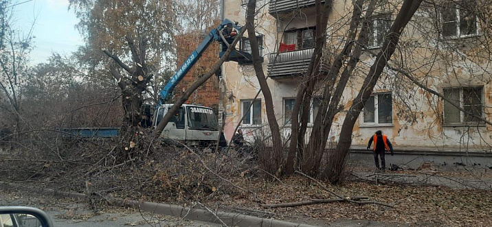 В Октябрьском районе продолжаются работы по сносу аварийных деревьев