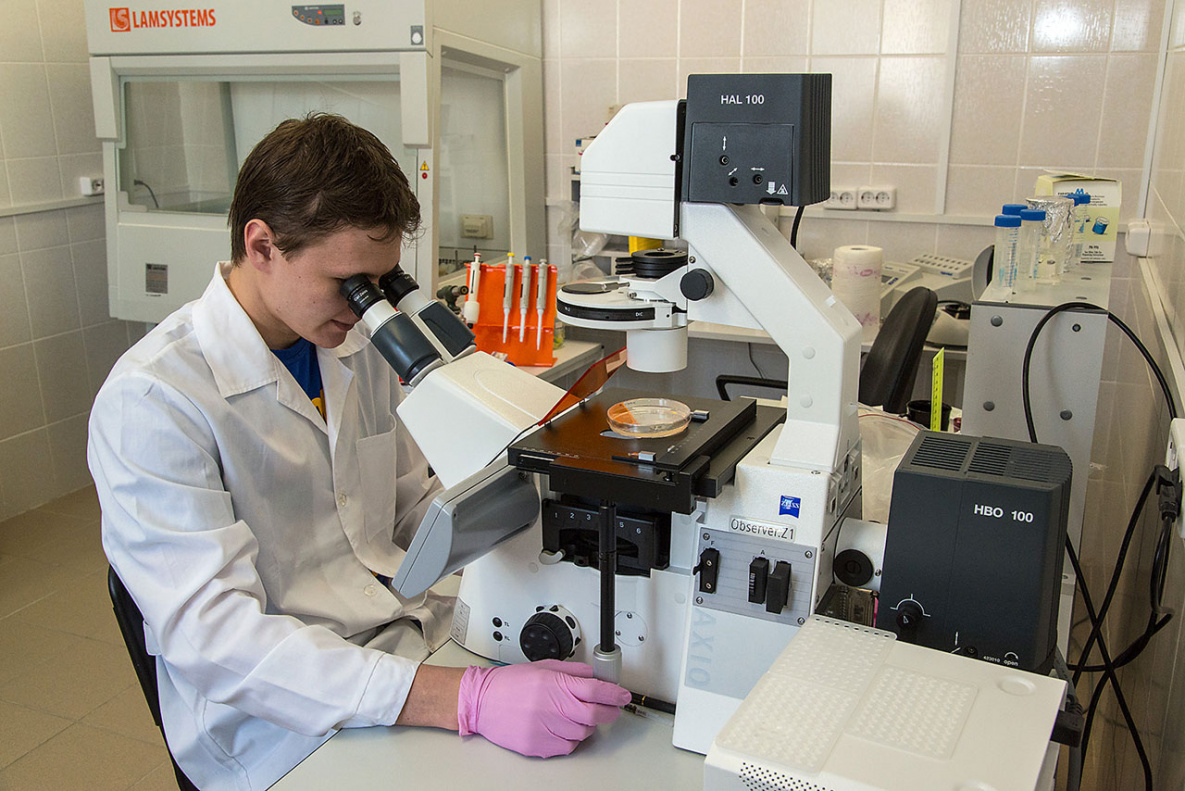 Барнаульский ученый принял участие в японском научном проекте по приданию стерильности трансгенным растениям