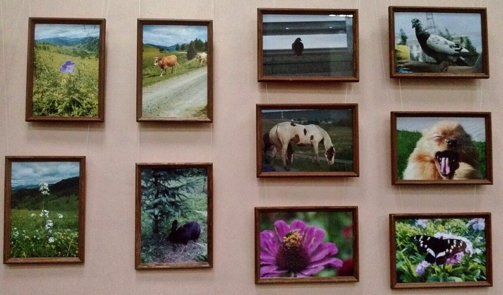 Барнаульская библиотека №18 приглашает на фотовыставку «Природы затаённые мгновения»