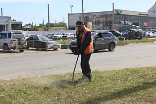 Дорожные службы Барнаула продолжают покос травы на городских улицах