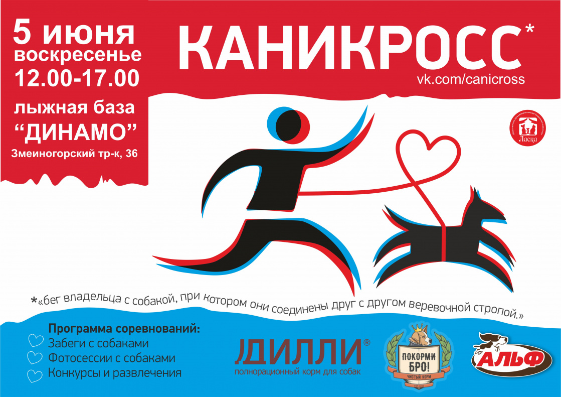 Барнаульцев приглашают на каникросс со своими питомцами