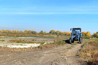 В Октябрьском районе Барнаула завершился второй этап работ по уничтожению очагов дикорастущей конопли