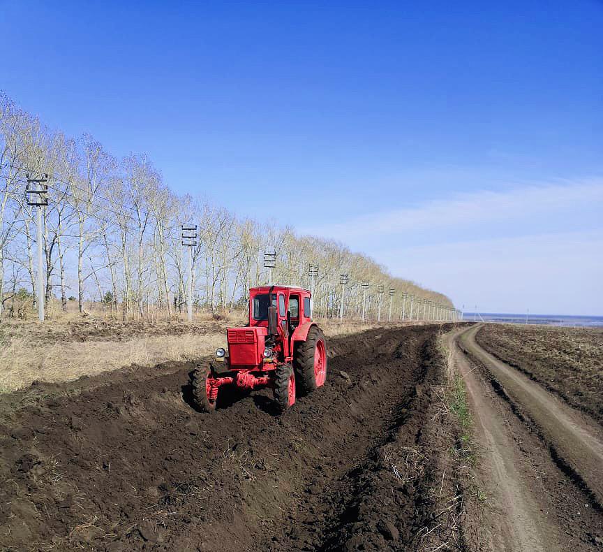 Опашка противопожарной полосы