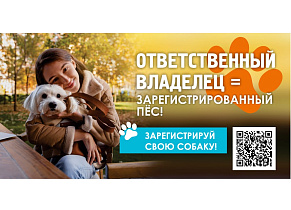 На этой неделе зарегистрировать домашних питомцев смогут жители поселка Лесной и станции Власиха 