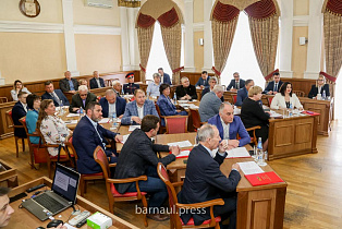 Общественная палата Барнаула поддержала решение о реконструкции путепроводов на пр-кте Ленина