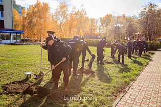 Молодые деревья высадили у Барнаульского юридического института МВД России